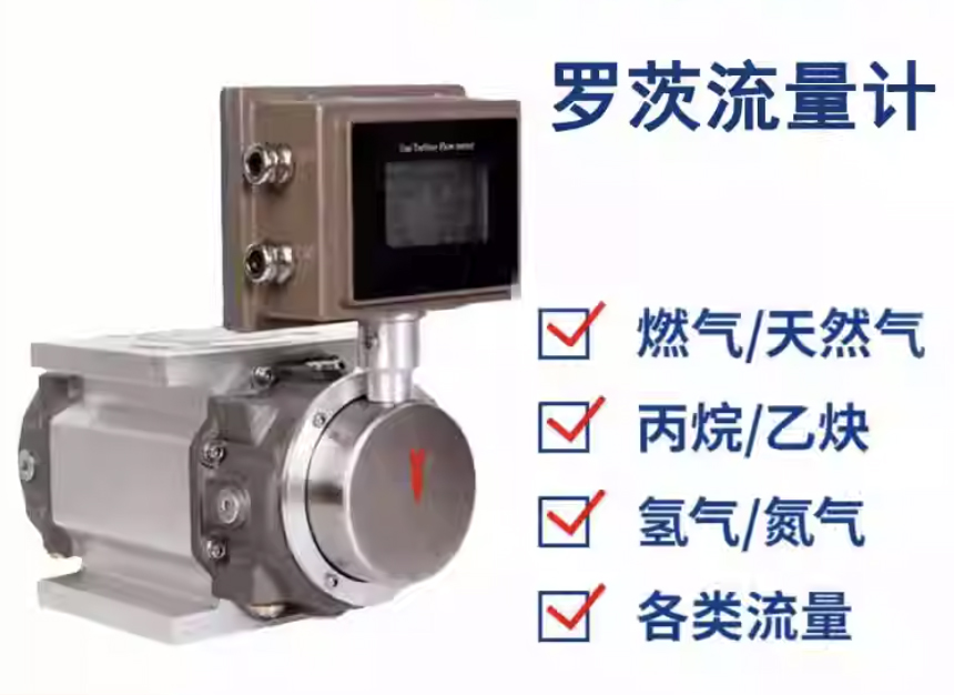 沼气罗茨流量计