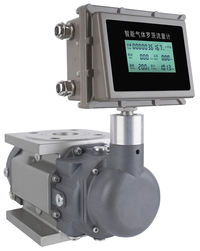 DN100气体罗茨流量计产品图片